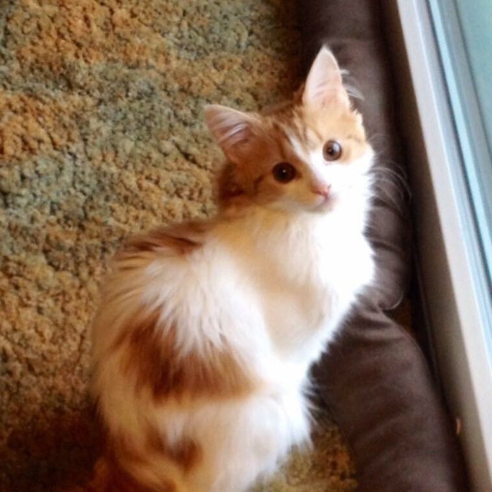 Meet your Posher, Martha